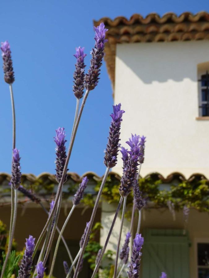 Azurea Bed and Breakfast Valbonne Εξωτερικό φωτογραφία